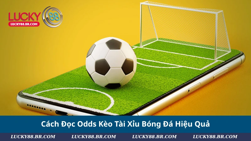 Cách Đọc Odds Kèo Tài Xỉu Bóng Đá Hiệu Quả