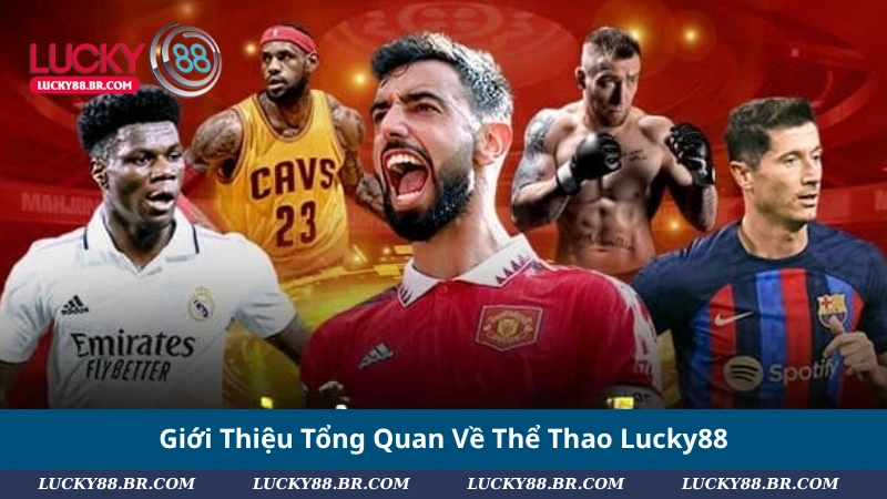Giới Thiệu Tổng Quan Về Thể Thao Lucky88