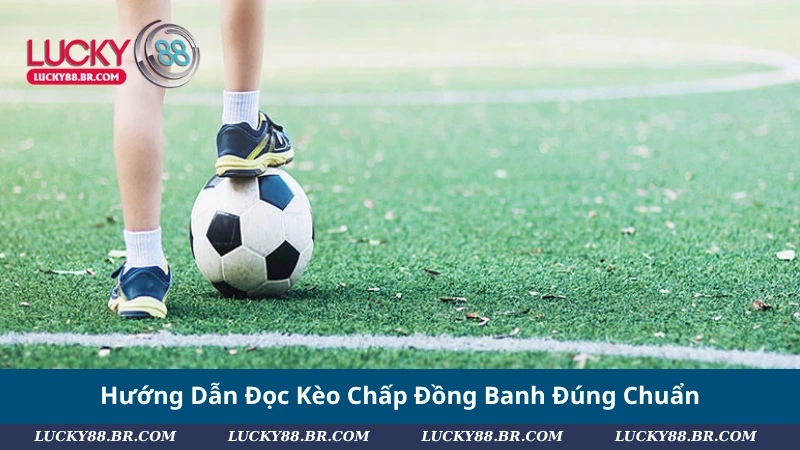 Hướng Dẫn Đọc Kèo Chấp Đồng Banh Đúng Chuẩn