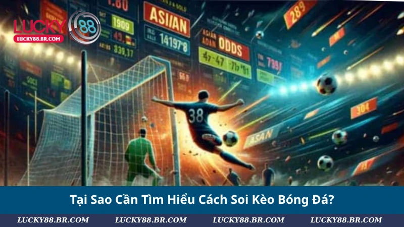 Tại Sao Cần Tìm Hiểu Cách Soi Kèo Bóng Đá