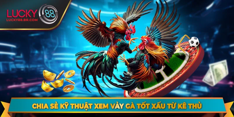 Xem Vảy Gà Tốt Xấu